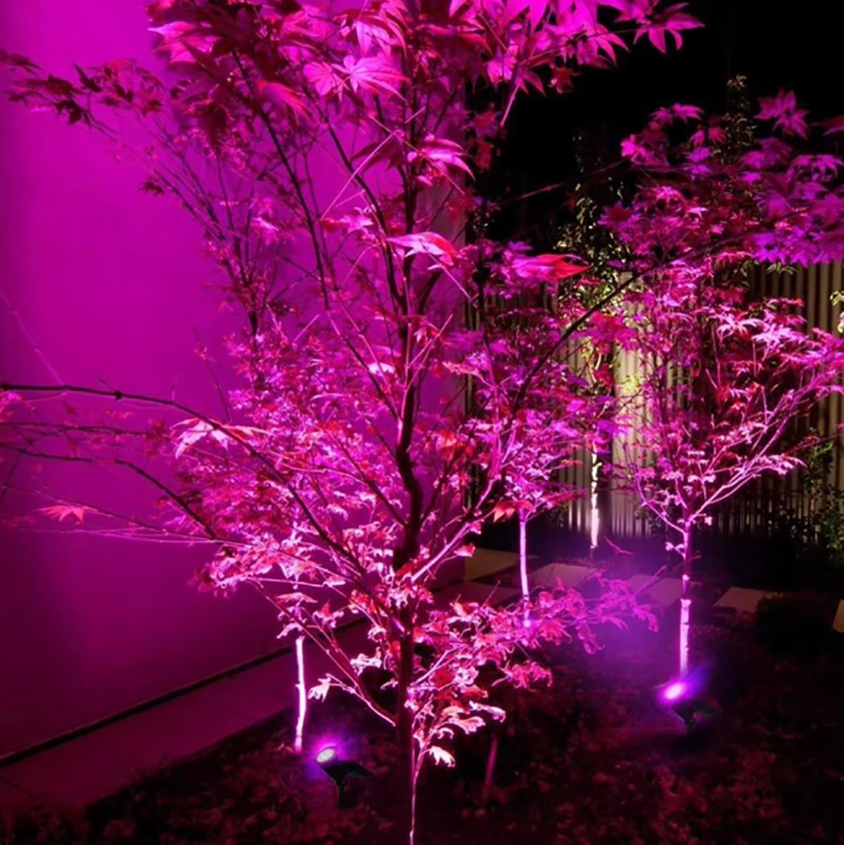 Amazon.com : RBFVZCCB Waterproof Solar Power Lamp Light for